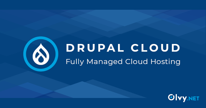 Managed Drupal Hosting