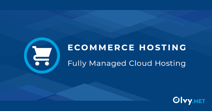 Managed eCommerce Hosting